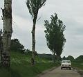 Britisch vs Italian op 26-5-2013 (79)